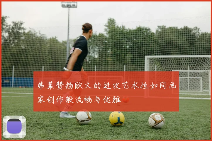 弗莱赞扬欧文的进攻艺术性如同画家创作般流畅与优雅