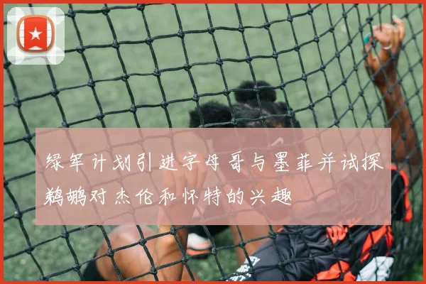 绿军计划引进字母哥与墨菲并试探鹈鹕对杰伦和怀特的兴趣